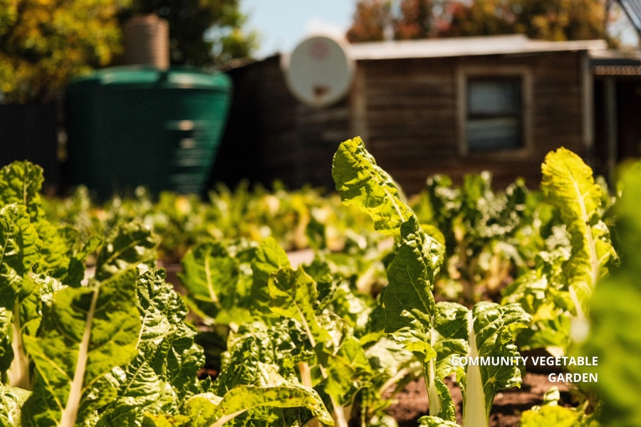 3 Bedroom Property for Sale in Welbedacht Western Cape